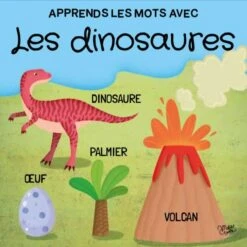 Q-BOX. LES DINOSAURES -Magasin De Jouets Branché 26550e56dd2751031fa159ac80ae1e085e6a8fbb 41031371 03