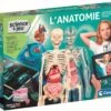 Clementoni L'ANATOMIE - LE CORPS HUMAIN -Magasin De Jouets Branché 3253e84b4d0f711542e10a304f2b6ce4940f9f78 41053722