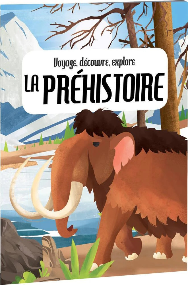 VOYAGE DECOUVRE EXPLOIRE LA PREHISTOIRE 4 VOYAGE DECOUVRE EXPLOIRE LA PREHISTOIRE – Image 2