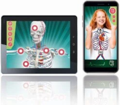 Clementoni L'ANATOMIE - LE CORPS HUMAIN -Magasin De Jouets Branché 585b5b2ce2799aa85eebe64629a5457c1d4097e5 41053722 04