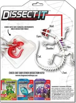 Silverlit DISSECT-IT - SALAMANDRE SLIME A DISSEQUER -Magasin De Jouets Branché aba2a57397f47590e49a200f30b4aba59c962b45 41053781 03