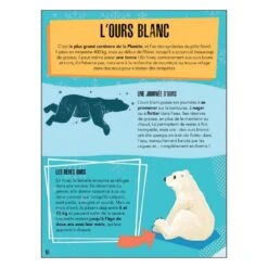 PUZZLE LA PLANETE EN DANGER 220 PIECES + LIVRE - LES GLACES 9 PUZZLE LA PLANETE EN DANGER 220 PIECES + LIVRE - LES GLACES -Magasin De Jouets Branché b26c4932e856b636fb4567d466a743c0fb85a3b0 04082475 04