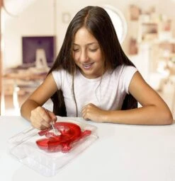 Silverlit DISSECT-IT - SALAMANDRE SLIME A DISSEQUER -Magasin De Jouets Branché e24ade6ceb44797f9852dd77af5cd418b8aa4edd 41053781 04