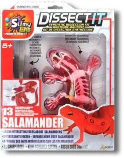 Silverlit DISSECT-IT - SALAMANDRE SLIME A DISSEQUER -Magasin De Jouets Branché e3952b4f8db482c47d60fbec9e1ca36ff8c69b81 41053781 05