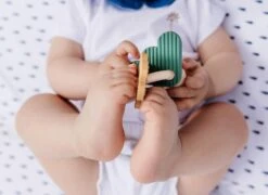 PAUL - LE HOCHET -Magasin De Jouets Branché f0d6dcd0c5e0ff2a2d471c5892e6b864b8394678 41067034 05