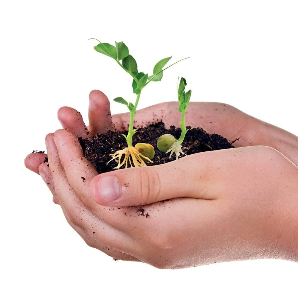 Clementoni LA BIOSPHERE 4 Clementoni LA BIOSPHERE – Image 2